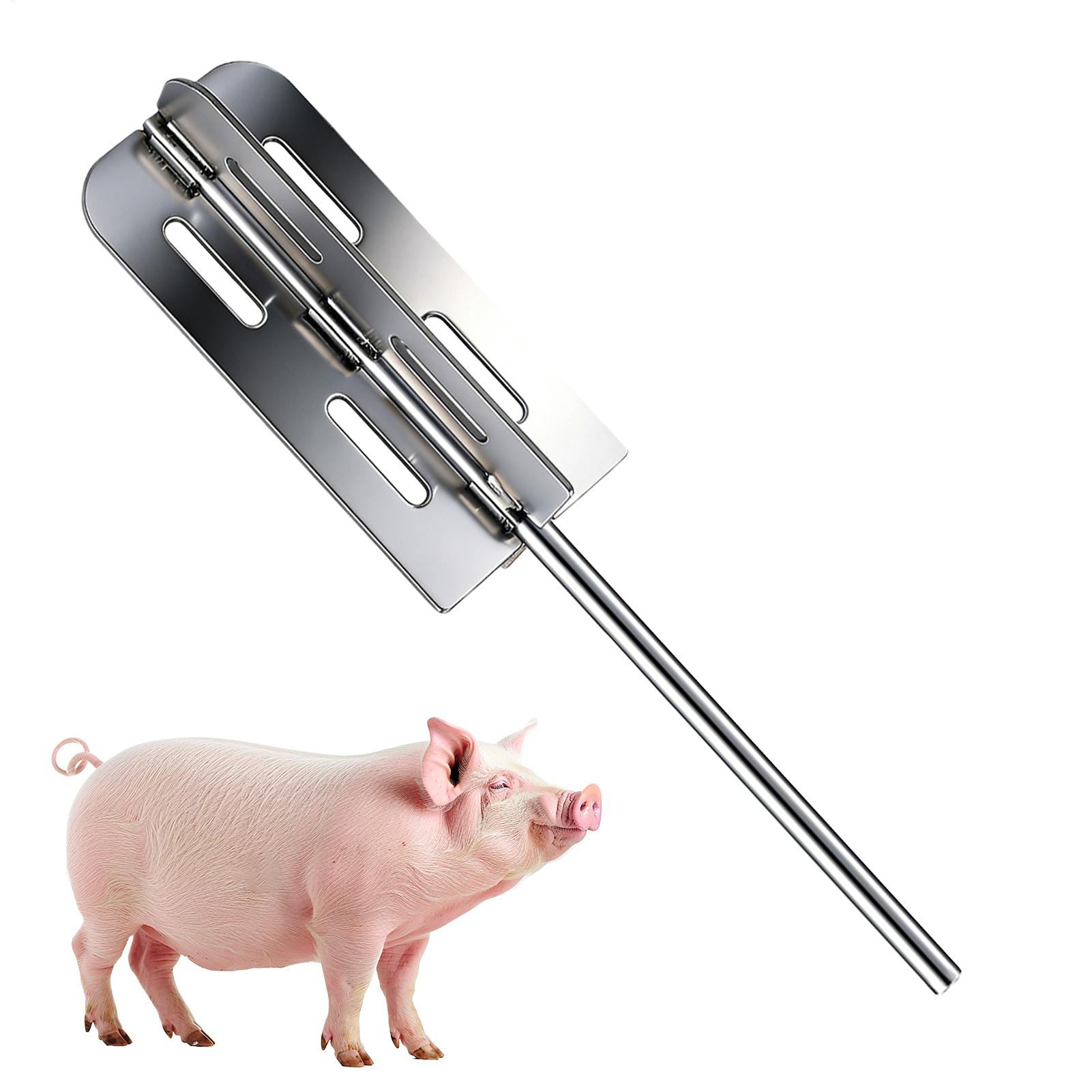 Hair Care Tools - Narzędzie do usuwania sierści świń ze